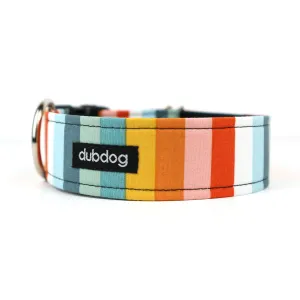 DBDG* Striped Dog Collar