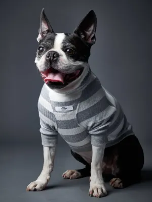 Striped Turtleneck Sweater BREA
